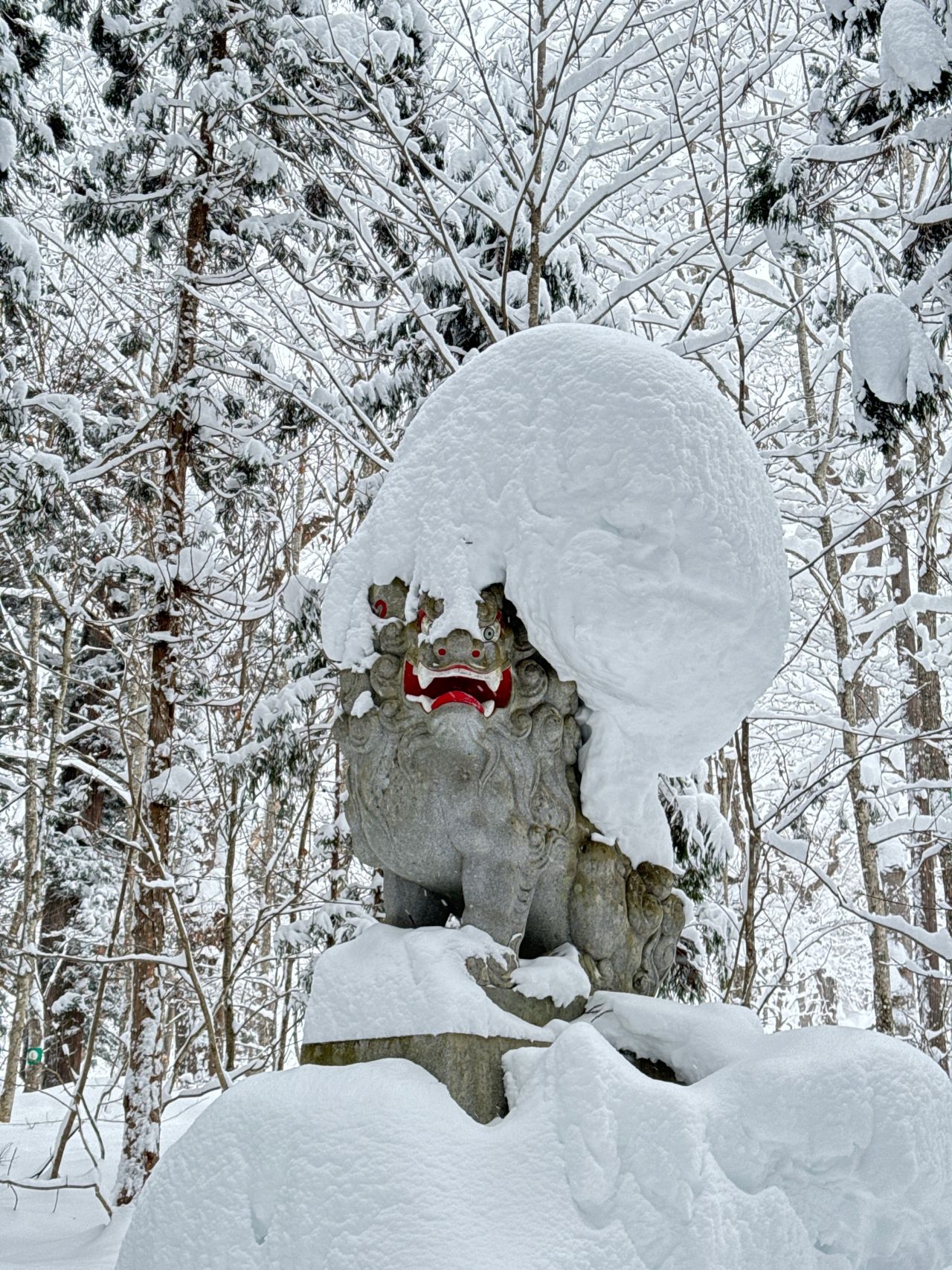 fuyu (winter)