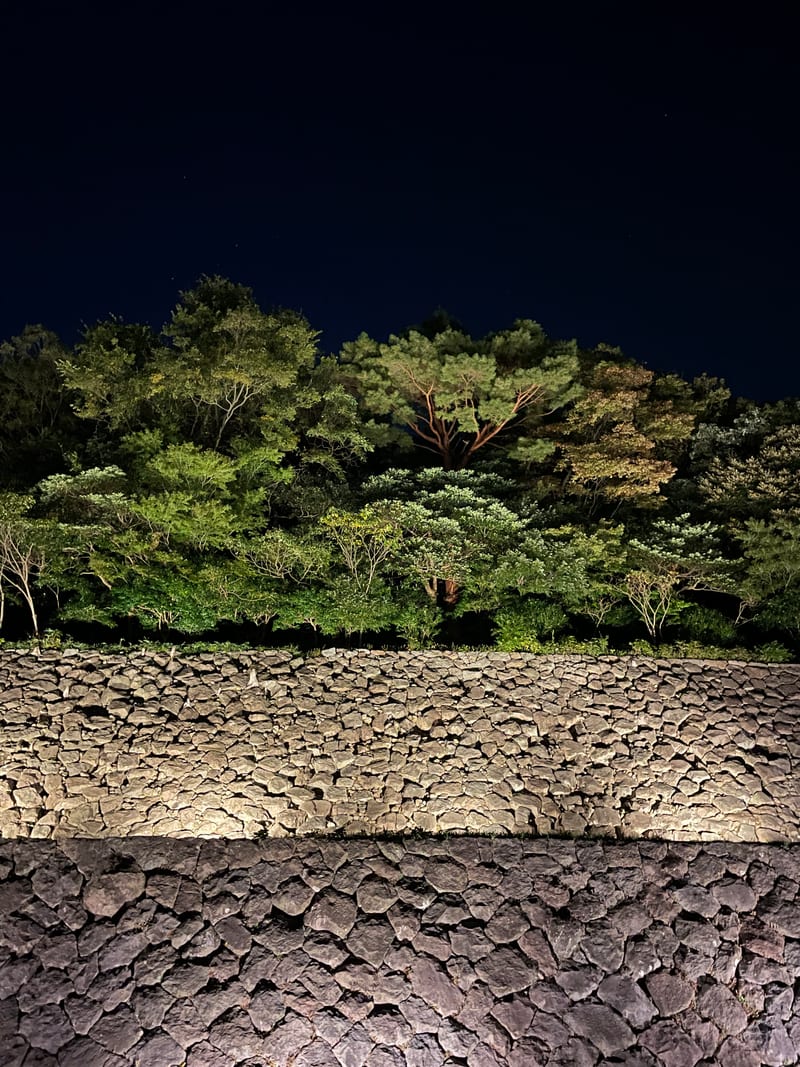 img-6976-heic