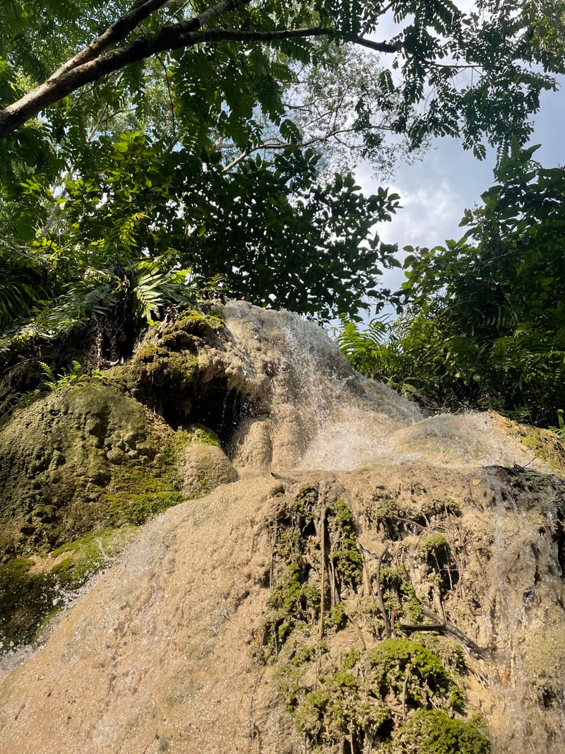 img-8828-heic
